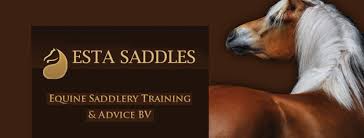 Logo ESTA Saddles